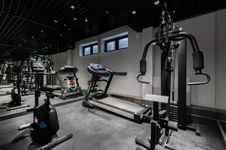 gym 8 768x512