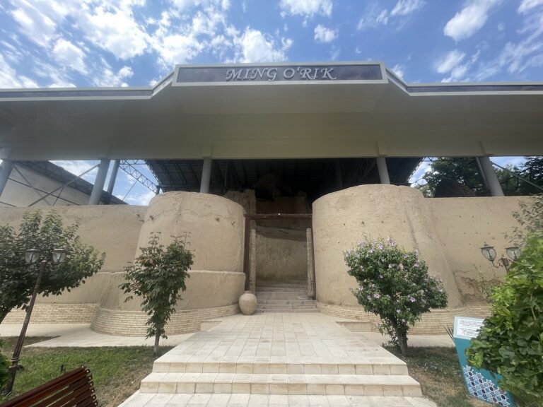 ming orik entrance 768x576