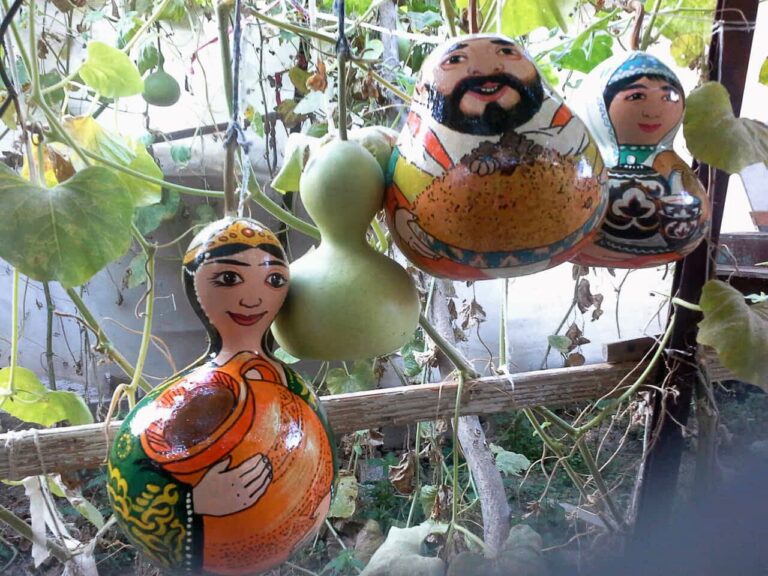 pumpkin museum 768x576