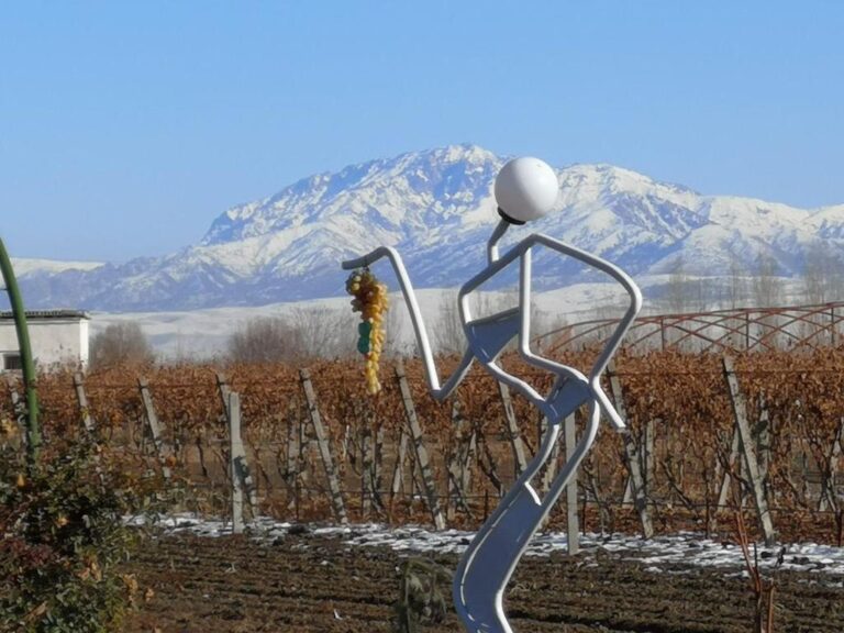 mountain view 768x576